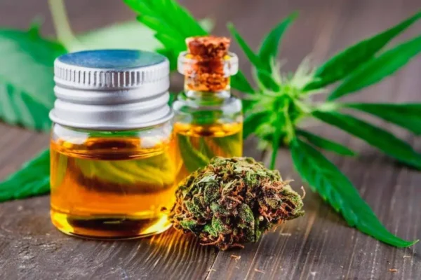 Dispensary Etiquette: How To Prepare And What To Expect At A Dispensary, Towanda, IL