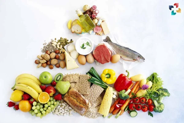 Exploring Different Types of Diets